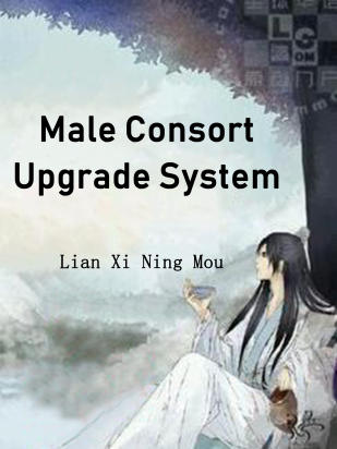 Male Consort Upgrade System
